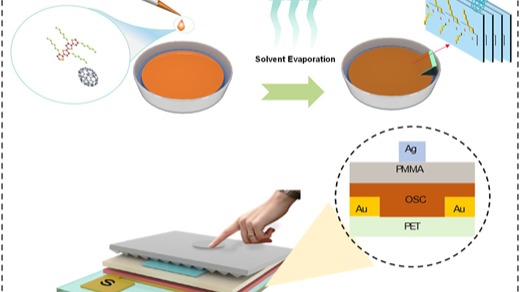 Visual for Flexible pressure sensor based on freestanding organic charge-transfer thin-film transistors