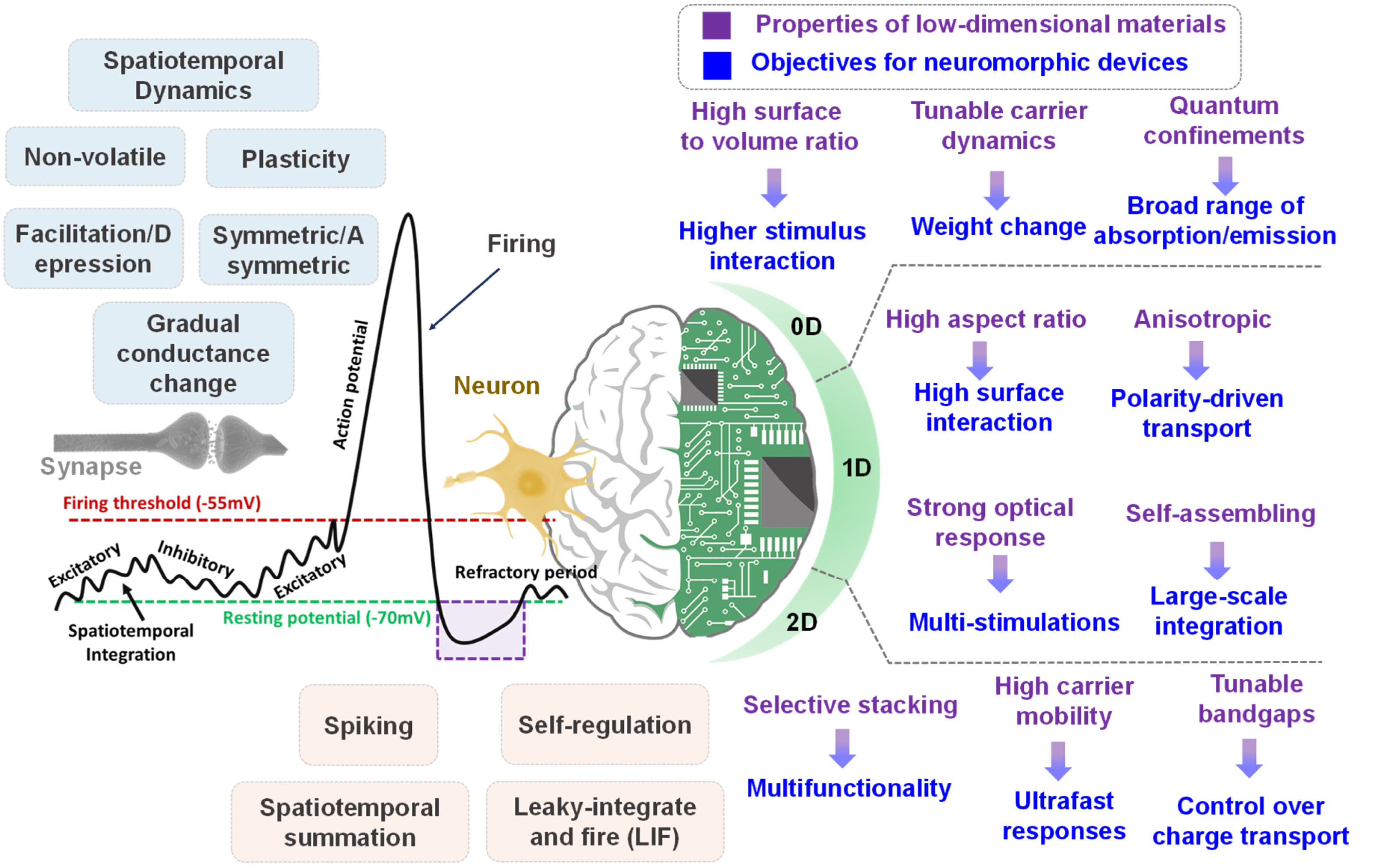 Visual for Low-dimensional silicon for neuromorphic computing